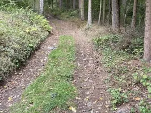 Prodej chaty, Žďárec, 85 m2