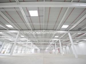Pronájem výrobních prostor, Ostrava, Halasova, 4364 m2
