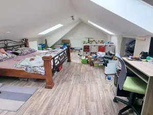 Prodej vícegeneračního domu, Jihlava, Fibichova, 300 m2