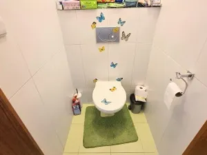 Prodej vícegeneračního domu, Jihlava, Fibichova, 300 m2
