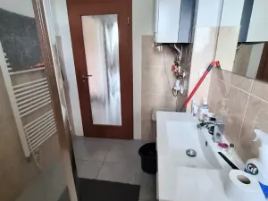 Prodej vícegeneračního domu, Jihlava, Fibichova, 300 m2