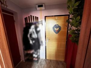 Pronájem bytu 2+1, Kojetín, Jana Peštuky, 43 m2