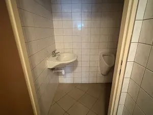 Prodej obchodního prostoru, Bystřice pod Hostýnem, Přerovská, 420 m2