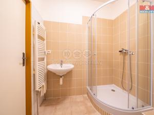 Pronájem bytu 1+1, Aš, Hlavní, 34 m2