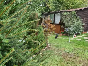 Prodej chaty, Praha - Hostavice, 60 m2