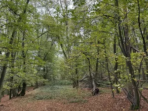 Prodej podílu pozemku, Plaňany, 23569 m2