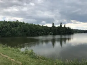 Dražba rodinného domu, Český Brod, Zahrady, 180 m2