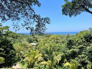 Prodej pozemku, Coxen Hole, Roatán, Honduras, 683 m2