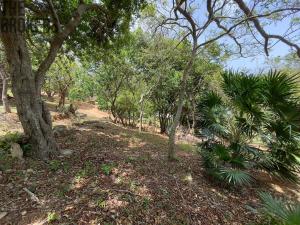 Prodej pozemku, Coxen Hole, Roatán, Honduras, 1821 m2