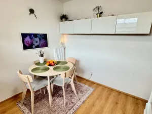 Prodej bytu 2+1, Nová Ves, Nad Obcí, 49 m2