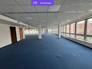 Pronájem kanceláře, Praha - Smíchov, Plzeňská, 446 m2