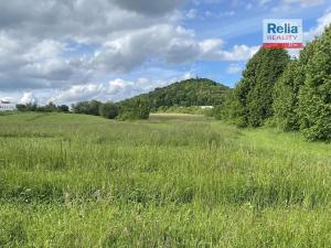 Pronájem bytu 2+kk, Česká Lípa, Zhořelecká, 42 m2