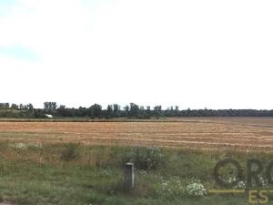 Prodej pole, Březno, 12147 m2