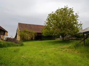 Prodej zemědělské usedlosti, Černíkovice, 80 m2