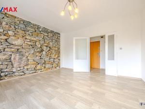 Prodej bytu 1+1, Vítkov, Wolkerova, 38 m2