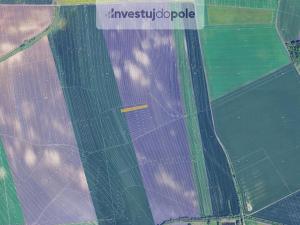 Prodej pole, Otmarov, 1360 m2