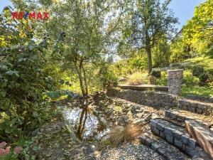 Prodej komerční nemovitosti, Obora, 900 m2