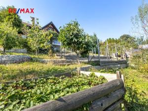 Prodej komerční nemovitosti, Obora, 900 m2