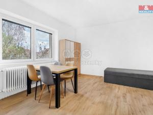 Pronájem bytu 1+kk, Plazy, 24 m2
