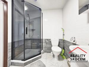 Pronájem bytu 1+kk, Skotnice, 29 m2