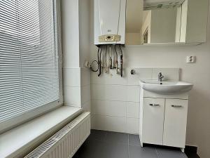 Pronájem bytu 1+1, Bílovec, 17. listopadu, 36 m2