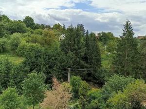 Prodej chaty, Bílovice nad Svitavou, 67 m2