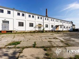 Prodej skladu, Olomouc, U cukrovaru, 750 m2