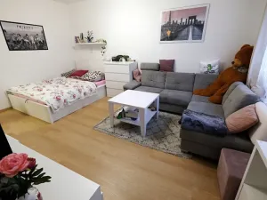 Pronájem bytu 1+1, Uherský Brod, Družstevní, 38 m2