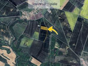Prodej pole, Medlice, 2353 m2