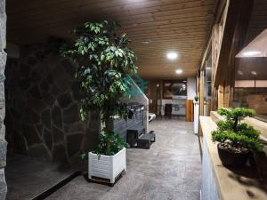 Prodej rodinného domu, Žabovřesky, 950 m2