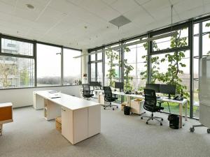 Pronájem kanceláře, Praha - Chodov, V parku, 289 m2