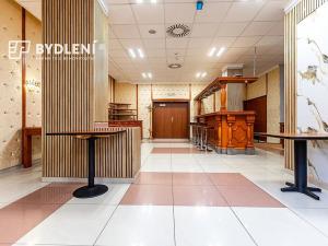 Pronájem restaurace, Teplice, U Nových lázní, 541 m2