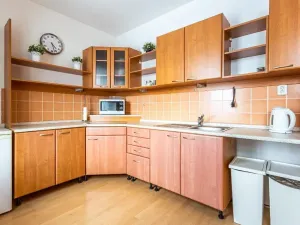 Prodej bytu 1+kk, Boží Dar, 38 m2