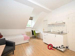 Pronájem bytu 1+kk, Praha - Smíchov, U Pernikářky, 23 m2