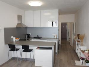 Pronájem bytu 1+kk, Brno, Řípská, 40 m2