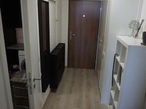Pronájem bytu 1+kk, Brno, Řípská, 40 m2
