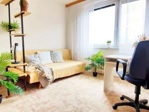 Pronájem bytu 3+1, Brno, Galandauerova, 78 m2