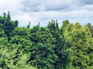 Pronájem bytu 3+1, Brno, Galandauerova, 78 m2
