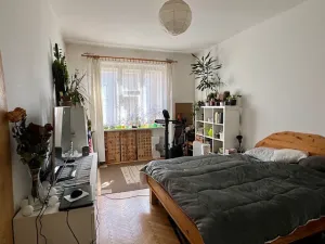 Prodej bytu 1+1, Praha - Žižkov, Jeseniova, 49 m2