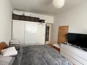 Prodej bytu 1+1, Praha - Žižkov, Jeseniova, 49 m2