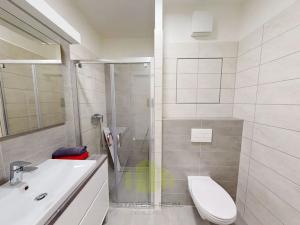 Pronájem bytu 1+kk, Olomouc, Janského, 28 m2