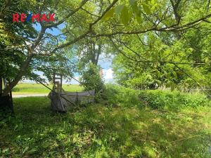 Prodej zahrady, Gruna, 1492 m2