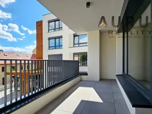 Pronájem bytu 1+kk, Praha - Nusle, Bělehradská, 50 m2