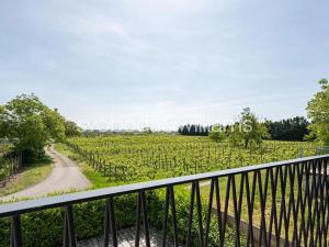 Prodej rodinného domu, Velké Bílovice, Ke Špičáku, 561 m2