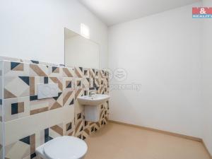 Pronájem obchodního prostoru, Okrouhlo, 1076 m2