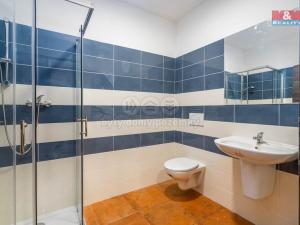Pronájem obchodního prostoru, Okrouhlo, 1076 m2