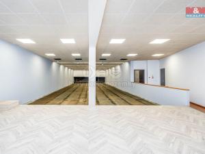 Pronájem obchodního prostoru, Okrouhlo, 1076 m2