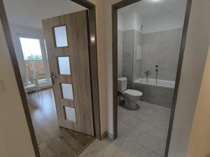 Pronájem bytu 2+kk, Městec Králové, Malátova, 47 m2