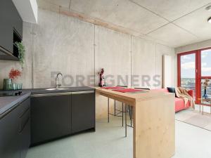 Pronájem bytu 3+kk, Brno, Dornych, 67 m2