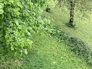Prodej rodinného domu, Mírová pod Kozákovem, 105 m2